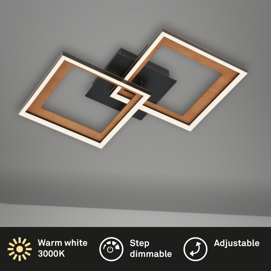 Brilo - LED prigušiva nadometni luster FRAME 2xLED/11W/230V