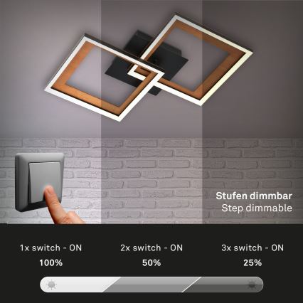Brilo - LED prigušiva nadometni luster FRAME 2xLED/11W/230V