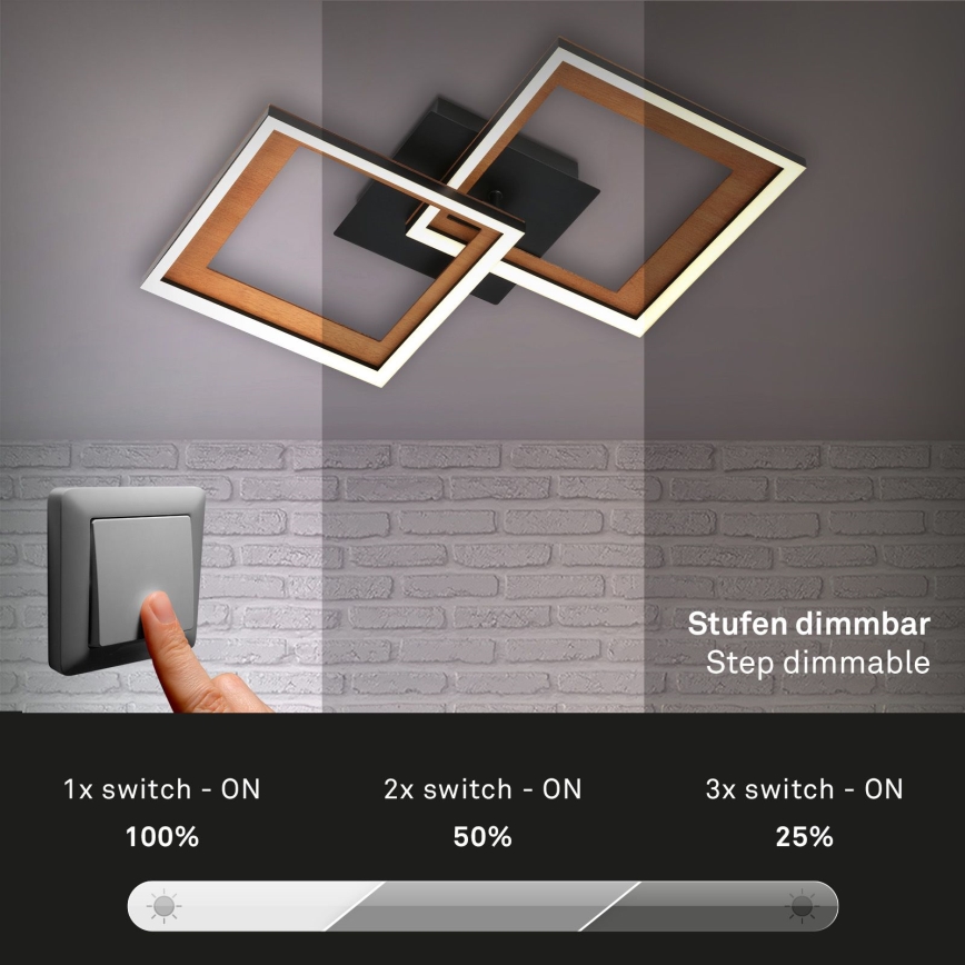Brilo - LED prigušiva nadometni luster FRAME 2xLED/11W/230V