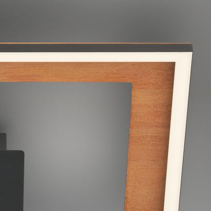 Brilo - LED prigušiva nadometni luster FRAME 2xLED/11W/230V