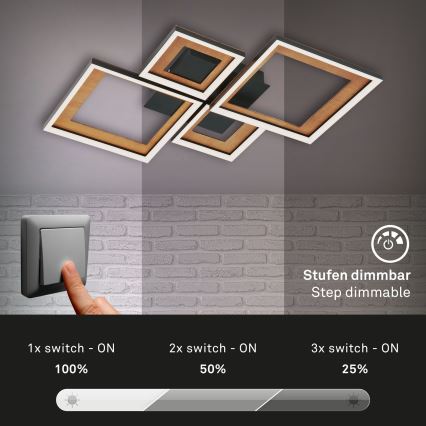 Brilo - LED prigušiva plafonska svetiljka FRAME LED/38W/230V