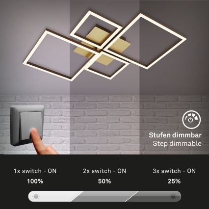 Brilo - LED prigušiva stropni luster FRAME LED/44W/230V