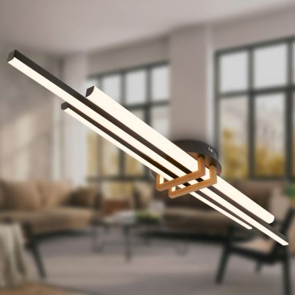 Brilo - plafonsko LED svetlo TINKA LED/30W/230V 3000K crna