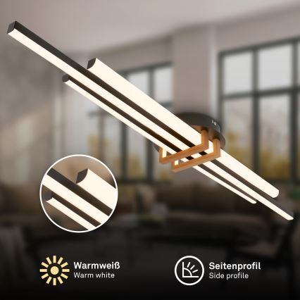 Brilo - plafonsko LED svetlo TINKA LED/30W/230V 3000K crna