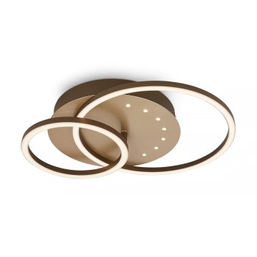 Brilo - prigušiva LED plafonska svetiljka LED/26W/230V 3000K braon