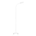 Briloner 1297-016 - LED prigušiva dodirna podna lampa LED/8W/230V 3000/4000/6000K