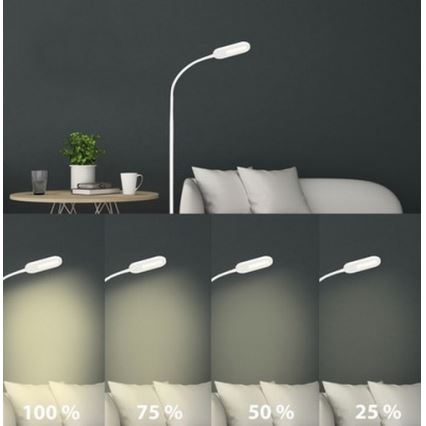 Briloner 1297-016 - LED prigušiva dodirna podna lampa LED/8W/230V 3000/4000/6000K