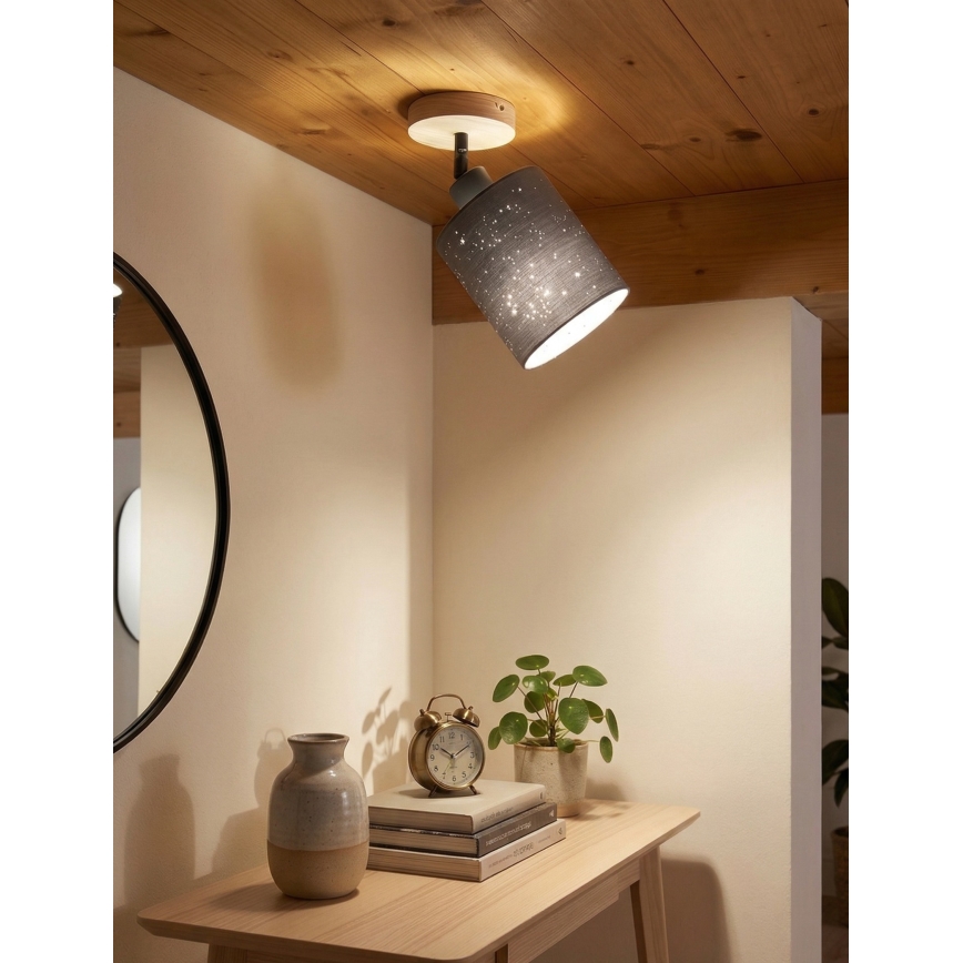 Briloner 2078-011 - Zidno reflektorsko svetlo SPOTLIGHT 1xE27/25W/230V bež