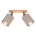 Briloner 2078-021 - Reflektorsko svetlo SPOTLIGHT 2xE27/25W/230V bež