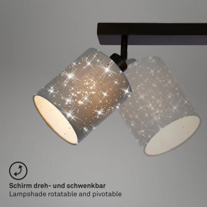 Briloner 2078-034 - Spot svetiljka SPOTLIGHT 3xE27/25W/230V siva/crna