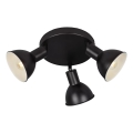 Briloner 2674-035 - RETRO spot lampa 3xE14/25W/230V crna
