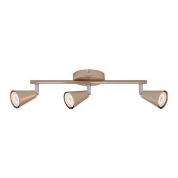 Briloner 2849-037 - LED spot svetiljka GOLD BASIC 3xGU10/5W/230V