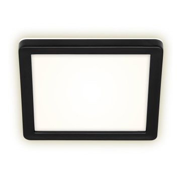 Briloner 3010-015 - LED plafonsko svetlo LED/8W/230V 19x19 cm crno IP44