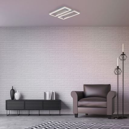 Briloner 3107-012 - LED prigušiva plafonsko svetlo FRAME 2xLED/7,25W/230V