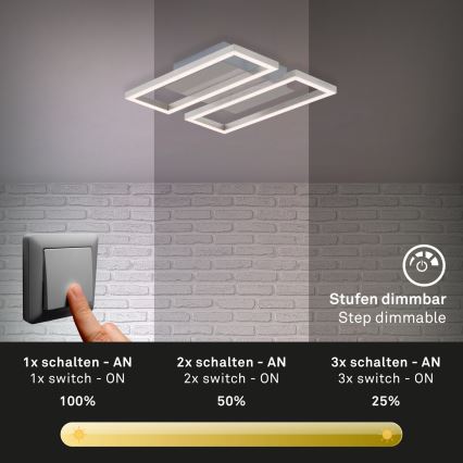 Briloner 3107-012 - LED prigušiva plafonsko svetlo FRAME 2xLED/7,25W/230V