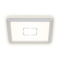 Briloner 3174-014 - FREE LED plafonsko svetlo LED/12W/230V 19x19 cm