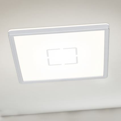 Briloner 3174-014 - FREE LED plafonsko svetlo LED/12W/230V 19x19 cm