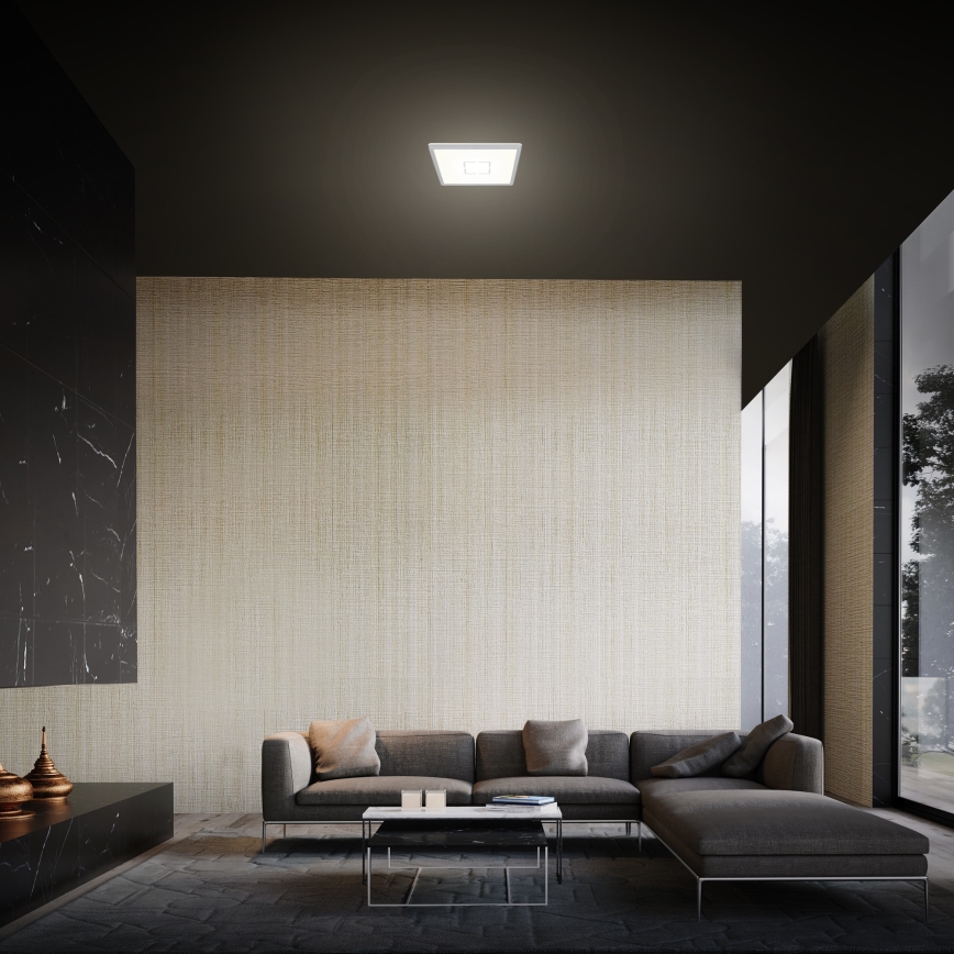 Briloner 3174-014 - FREE LED plafonsko svetlo LED/12W/230V 19x19 cm