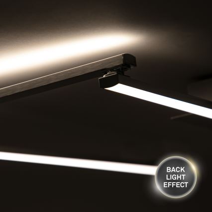 Briloner 3501-018 - LED plafonski luster STAFF 5xLED/4,8W/230V mat hrom