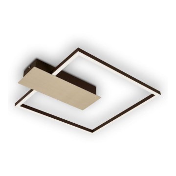 Briloner 3544-017 - LED prigušiva plafonska lampa NICO LED/12W/230V zlatna