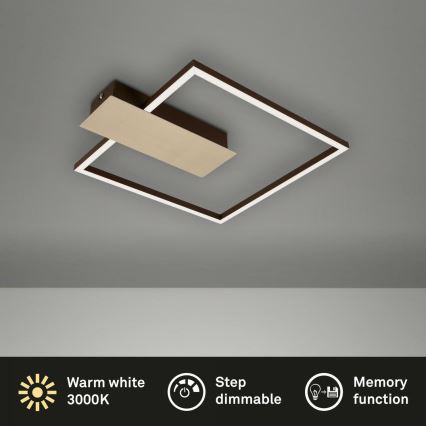 Briloner 3544-017 - LED prigušiva plafonska lampa NICO LED/12W/230V zlatna