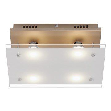 Briloner 3586-047 - LED plafonsko svetlo SMART GOLD 4xGU10/4W/230V