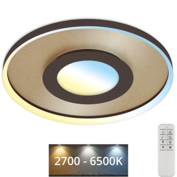 Briloner 3640017 - LED prigušiva plafonska svetiljka FRAME LED/25W/230V 2700-6500K + daljinski upravljač
