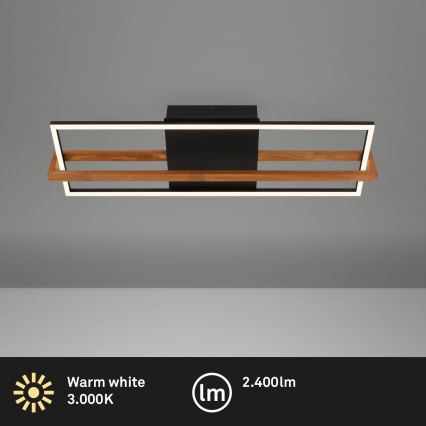 Briloner 3777-015 - LED plafonsko svetlo FRAME LED/21W/230V 3000K crno