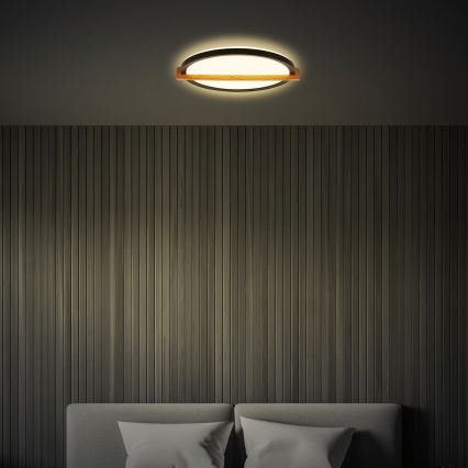 Briloner 3844015 - LED stropna svetiljka 18W/230V, prečnik 31,5 cm