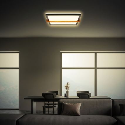 Briloner 3845015 - LED plafonsko svetlo LED/18W/230V 29,5x31,5 cm