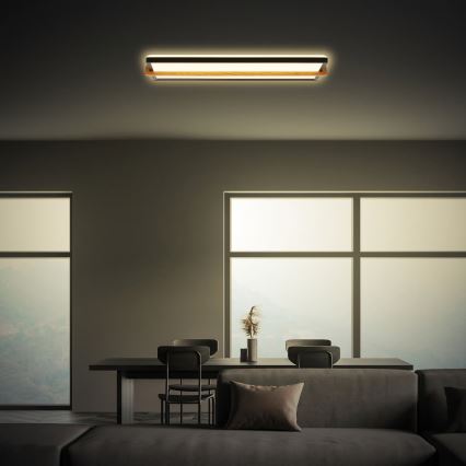 Briloner 3846015 - LED plafonsko svetlo REMSA LED/22W/230V 3000K 60,5x20 cm crna