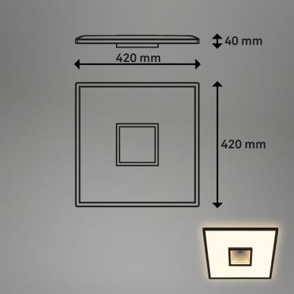 Briloner 3848015 - LED plafonsko svetlo TORO LED/18W/230V 42x42 cm crno