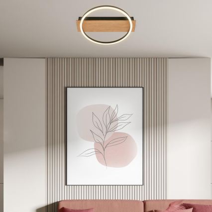 Briloner 3908-014 - LED plafonsko svetlo KADA LED/14W/230V, prečnik 30 cm, crna/smeđa