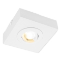 Briloner 3996016 - LED spot svetlo CTS LED/4W/230V 2700/4000K belo