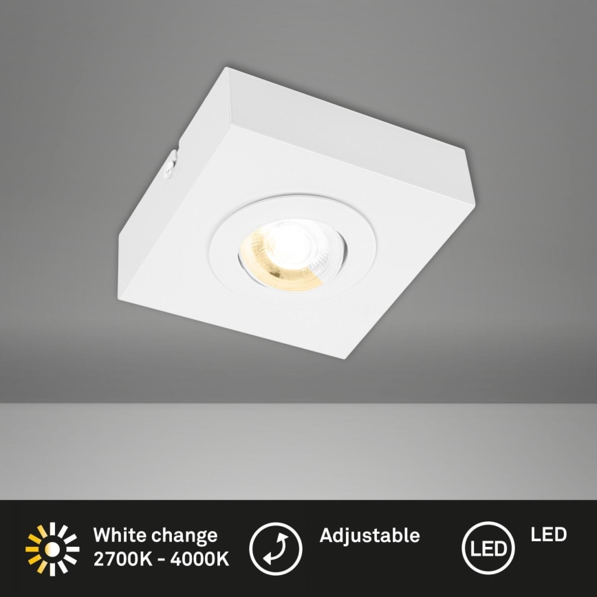 Briloner 3996016 - LED spot svetlo CTS LED/4W/230V 2700/4000K belo