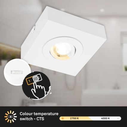Briloner 3996016 - LED spot svetlo CTS LED/4W/230V 2700/4000K belo