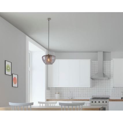 Briloner 4016-014 - Luster na sajli SEVENTIES 1xE27/40W/230V prozirno