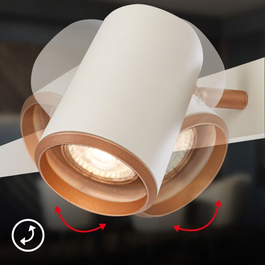 Briloner 4058044 - Luster na sajli ERA 4x GU10/10W/230V krem