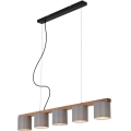 Briloner 4075-054 - Luster na sajli RHON 5xE14/25W/230V
