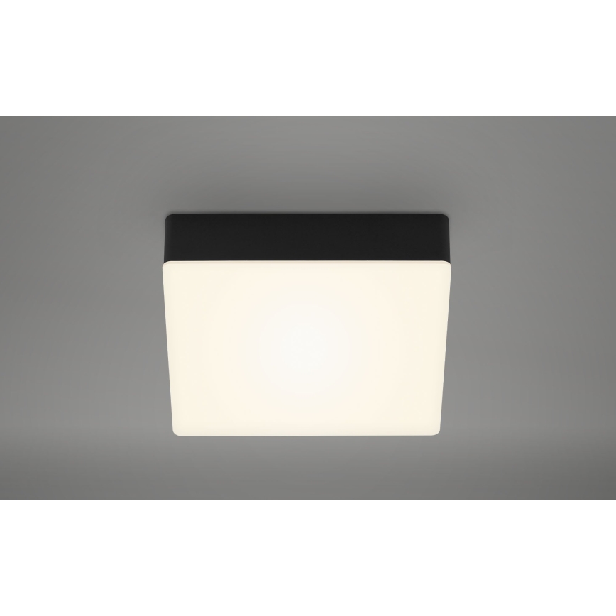 Briloner 7069-015 - LED plafonsko svetlo LED/11W/230V crno