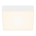 Briloner 7069-016 - LED stropno svetlo LED/11W/230V belo