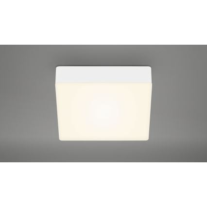 Briloner 7069-016 - LED stropno svetlo LED/11W/230V belo