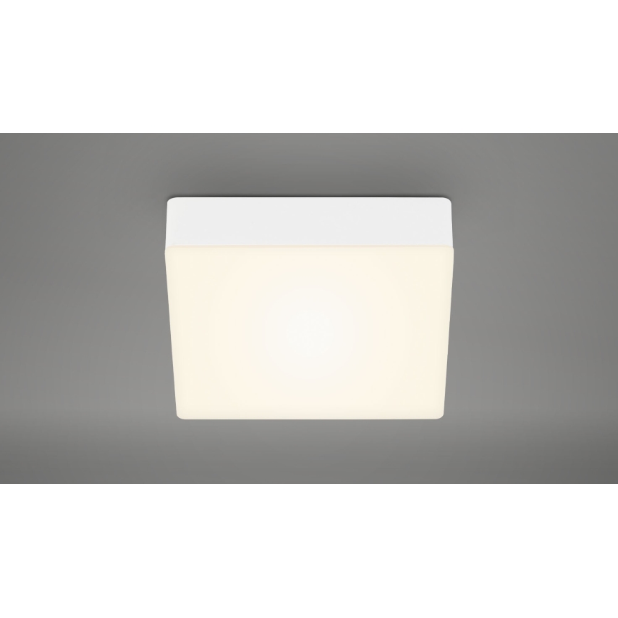 Briloner 7069-016 - LED stropno svetlo LED/11W/230V belo