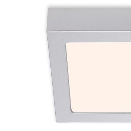 Briloner 7123-014 - LED plafonsko svetlo FIRE LED/12W/230V 3000K 17x17cm srebrno