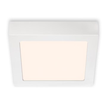 Briloner 7123-016 - LED plafonsko svetlo FIRE LED/12W/230V 3000K 17x17 cm belo