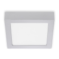 Briloner 7123-414 - LED plafonsko svetlo FIRE LED/12W/230V srebrno