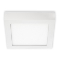 Briloner 7123-416 - LED plafonsko svetlo FIRE LED/12W/230V belo