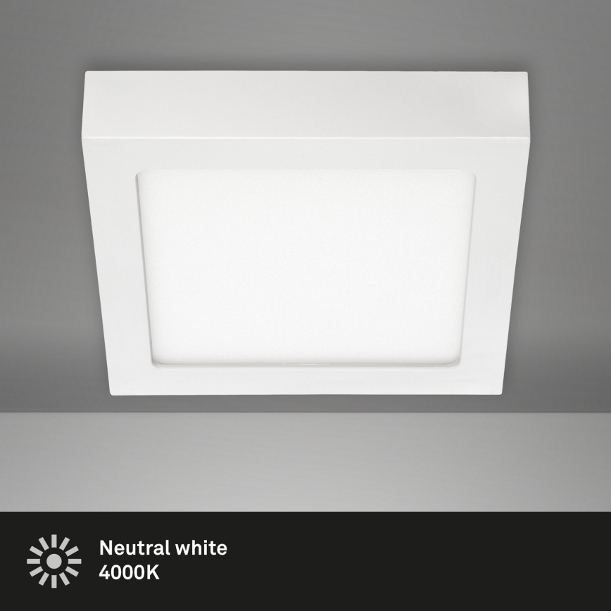 Briloner 7123-416 - LED plafonsko svetlo FIRE LED/12W/230V belo