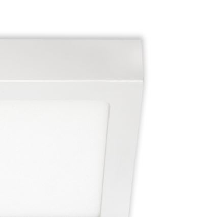 Briloner 7123-416 - LED plafonsko svetlo FIRE LED/12W/230V belo