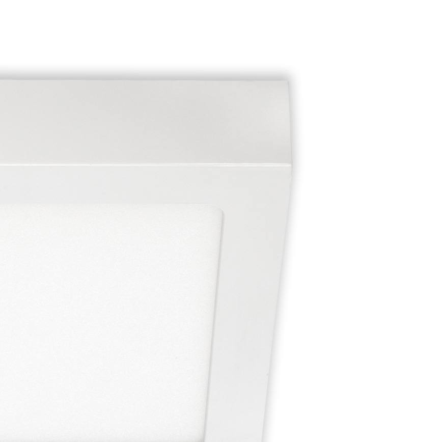 Briloner 7123-416 - LED plafonsko svetlo FIRE LED/12W/230V belo